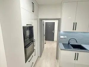 Pronájem bytu 1+kk, Přerov, Seifertova, 39 m2