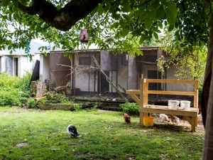 Prodej chaty, Litíč, 60 m2