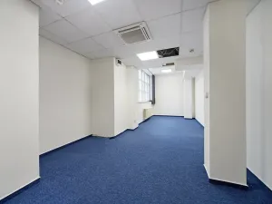Pronájem kanceláře, Brno, Masarykova, 505 m2