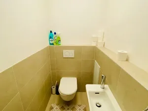 Prodej bytu 2+1, Brno, U Červeného mlýna, 56 m2