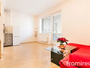 Pronájem bytu 1+kk, Brno, U Leskavy, 36 m2