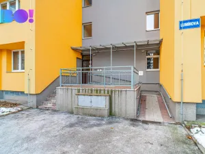 Prodej bytu 1+kk, Ostrava, Lumírova, 27 m2