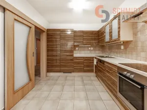 Pronájem rodinného domu, Břeclav, Kupkova, 232 m2