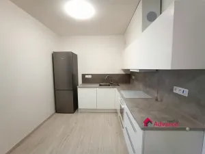 Pronájem bytu 1+kk, Ostrava, Důlní, 54 m2