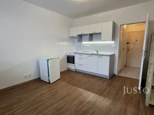 Pronájem bytu 1+1, Písek, 17. listopadu, 35 m2