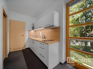 Prodej bytu 3+kk, Říčky v Orlických horách, 80 m2