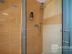 Prodej bytu 3+kk, Říčky v Orlických horách, 80 m2