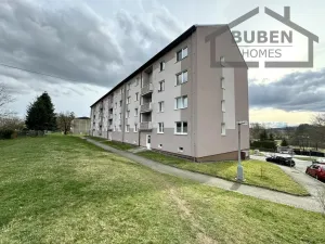Pronájem bytu 1+1, Staré Sedliště, 42 m2