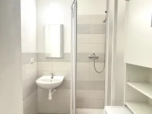 Pronájem bytu 1+1, Staré Sedliště, 42 m2
