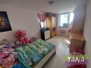 Prodej rodinného domu, Jenišovice, 225 m2