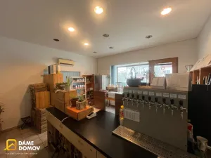 Pronájem obchodního prostoru, Napajedla, 65 m2