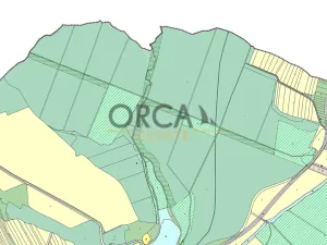 Prodej louky, Březolupy, 1729 m2