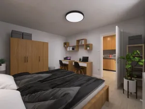 Pronájem bytu 1+1, Brno - Židenice, Bubeníčkova, 35 m2