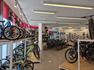 Pronájem obchodního prostoru, Praha - Holešovice, Jankovcova, 291 m2