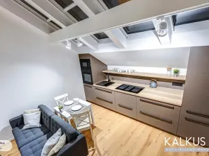 Pronájem atypického bytu, Hradec Králové, Eliščino nábřeží, 38 m2