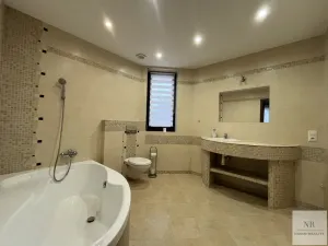 Prodej vily, Nová Role - Mezirolí, 350 m2