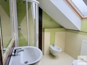 Prodej vily, Nová Role - Mezirolí, 350 m2