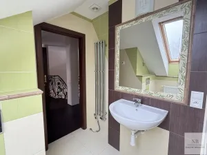 Prodej vily, Nová Role - Mezirolí, 350 m2