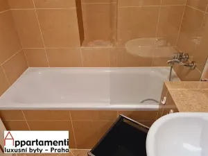 Pronájem bytu 3+kk, Praha - Vinohrady, Mánesova, 72 m2