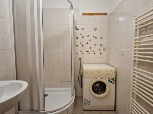 Prodej bytu 1+1, Stříbro, Na Vyhlídce, 33 m2