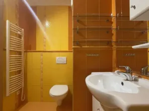 Pronájem bytu 2+1, Polička, M. Bureše, 56 m2