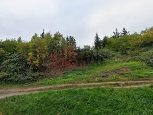 Prodej pozemku pro bydlení, Ústí nad Labem, Cestička, 1784 m2