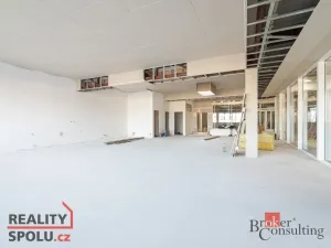 Pronájem ordinace, Hlučín, Cihelní, 167 m2