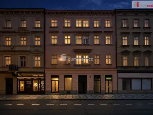 Pronájem obchodního prostoru, Praha - Smíchov, Lidická, 200 m2