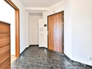 Pronájem bytu 3+kk, Brno, Křídlovická, 65 m2