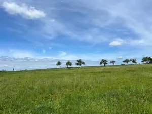 Prodej pozemku pro bydlení, Lužná, 973 m2