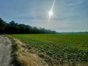 Prodej pole, Praha - Liboc, Na Padesátníku I, 24066 m2