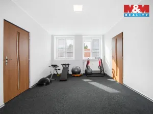 Prodej atypického bytu, Březová, Smetanova, 177 m2