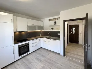 Prodej bytu 1+1, Brno - Kohoutovice, Prokofjevova, 36 m2