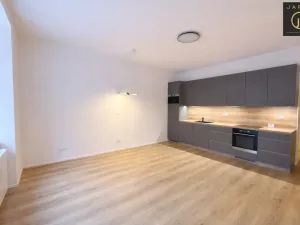 Pronájem bytu 2+kk, Praha - Nusle, Pod pramenem, 49 m2