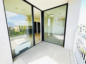 Pronájem bytu 2+kk, Ostrava - Moravská Ostrava, F. X. Riepla, 60 m2