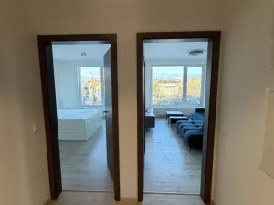 Pronájem bytu 2+kk, Ostrava - Moravská Ostrava, F. X. Riepla, 60 m2