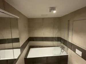 Pronájem bytu 2+kk, Ostrava - Moravská Ostrava, F. X. Riepla, 60 m2