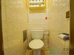 Prodej rodinného domu, Javorník, Družstevní, 407 m2