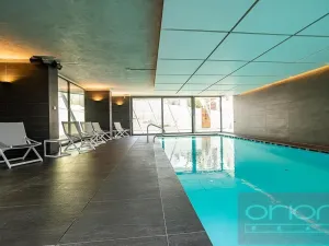 Pronájem bytu 4+kk, Praha - Smíchov, Holečkova, 211 m2