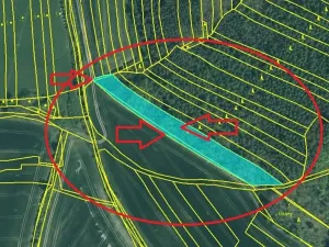 Prodej lesa, Nezdice, 4671 m2