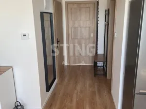 Pronájem bytu 2+kk, Ostrava, Bajgarova, 77 m2