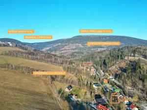 Prodej bytu 1+1, Černý Důl, 24 m2