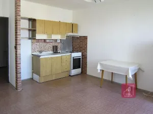 Prodej bytu 1+kk, Brno, Prušánecká, 33 m2