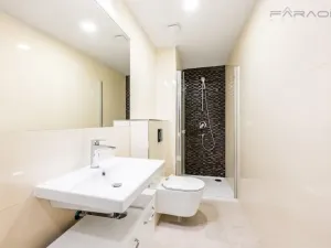 Pronájem bytu 1+kk, Praha - Nové Město, Petrská, 26 m2