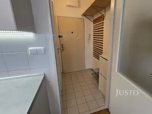 Pronájem bytu 1+1, Písek, 17. listopadu, 35 m2