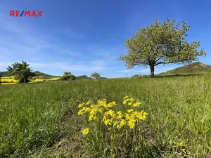 Prodej pozemku pro bydlení, Podsedice, 4847 m2