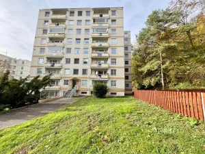 Pronájem bytu 1+kk, Ústí nad Labem, Vinařská, 31 m2