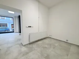 Pronájem kanceláře, České Budějovice - České Budějovice 1, Kněžská, 42 m2