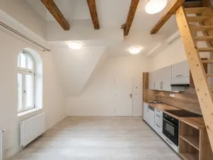 Pronájem bytu 1+kk, Liberec - Liberec III-Jeřáb, Americká, 53 m2