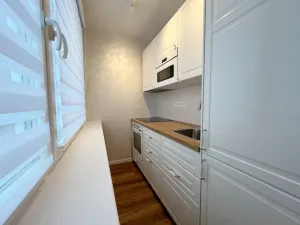 Pronájem bytu 1+kk, Krupka, Sídliště, 25 m2